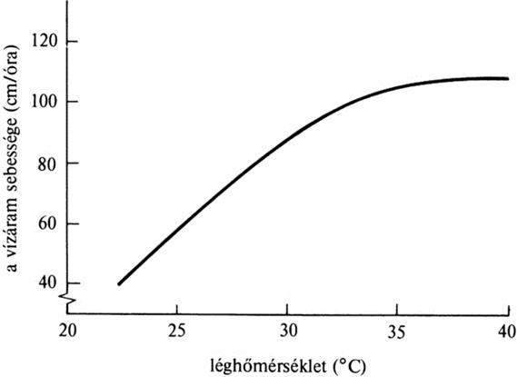 vizaramleghozoldsegtermesztok