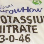 Potassium_Nitrate_99_