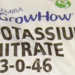 Potassium_Nitrate_99_