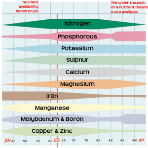 nutrientsolubility